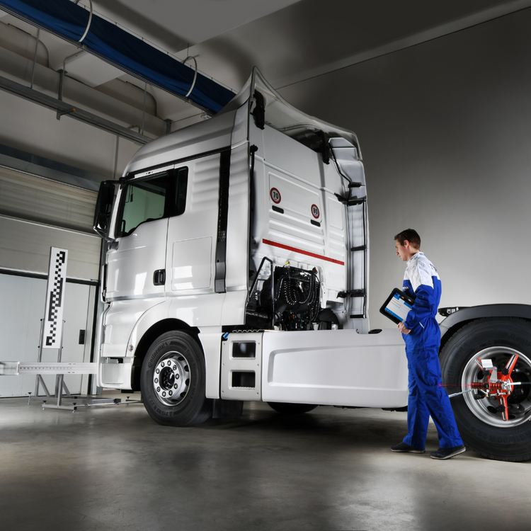 Truck & Heavy Truck Software